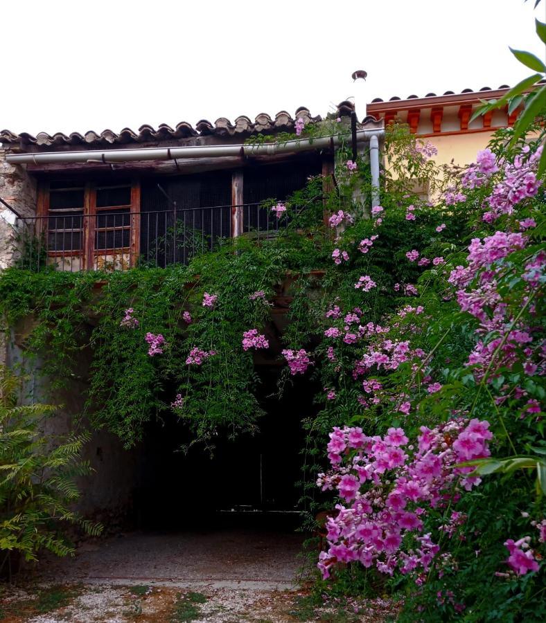 Casa Rural Alicia Villafranca de Ebro Extérieur photo